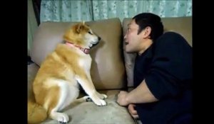 Un chien refuse d'embrasser son maitre
