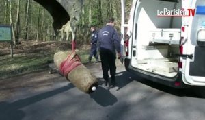 Désamorçage d'une bombe de 250 kg dans le bois de Cassan (95)