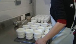Fabrication artisanale de yaourts bio