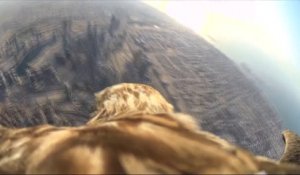 Une GoPro fixée sur la tête d'un aigle : descente en piquet depuis le plus haut building!
