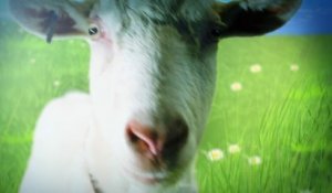 Goat Simulator - Trailer