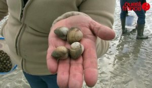 La grande pêche lors de la marée du siècle