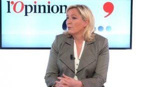 Marine Le Pen - Départementales 2015 :  « Rien n'a été dit sur le fond durant la campagne »