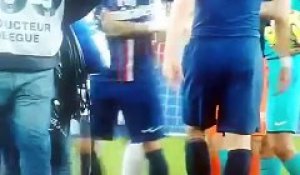Zlatan Ibrahimovic VS Tony Chapron (PSG-Lorient)