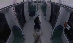 Attaque de zombies dans le métro
