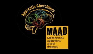 Apprentis Chercheurs "Mécanismes des addictions à l’alcool et aux drogues" saison 1, 2013