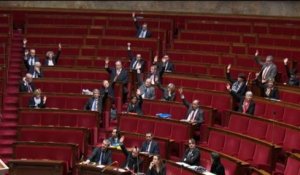 Peine d'indignité nationale : l'Assemblée rejette la proposition de l'UMP