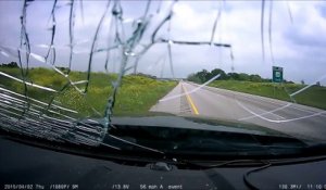 Une voiture éclate une dinde sur l'autoroute : RIP petite dinde!