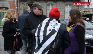Saint-Brieuc. 150 personnes mobilisées contre le projet d'exploitation de mines