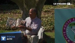 Barack Obama moins fort qu'une abeille