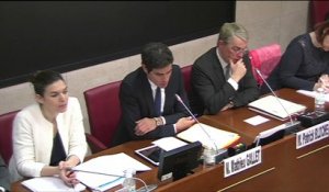 Radio France : audition de Mathieu Gallet à l'Assemblée