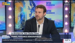 Jean-Charles Simon: "La france serait le deuxième pays le plus jeune de l'Europe" - 17/04