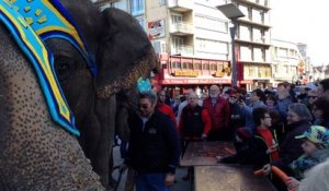 Boulogne : les éléphants du cirque Gruss prennent leur petit dej' en ville