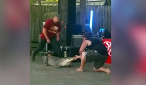 Un homme se fait mordre par un alligator