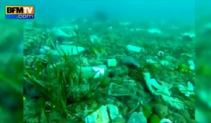 Cannes: des fonds marins tapissés de déchets