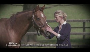 Hélène et les animaux : dressage de chevaux de courses