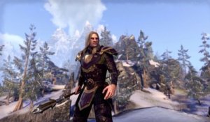 The Elder Scrolls Online : Tamriel Unlimited - Liberté de choix en Tamriel