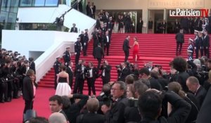 Cannes 2015 : les stars électrisent le tapis rouge pour l'ouverture