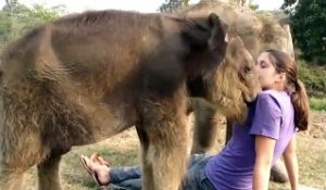 Un bébé éléphant cherche la trompe d'une fille... Mais elle n'en a pas????
