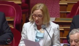 Colette Mélot - Réforme du collège