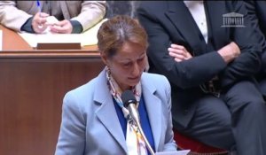 Discours de Ségolène Royal : vote solennel du texte Transition énergétique à l'assemblée nationale