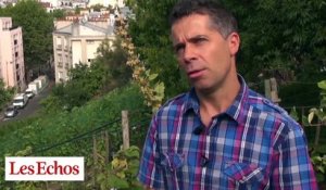 Paris : le vignoble caché de la butte Bergeyre prépare les vendanges