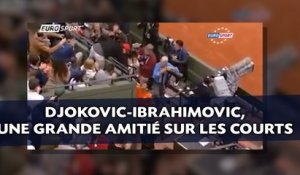 Djokovic-Ibrahimovic, une grande amitié sur les courts