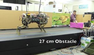 Science : Cheetah 2, découvrez le nouveau robot guépard