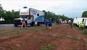 Un requin meurt dans un accident de la route