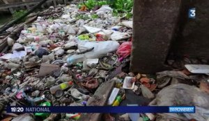 Pollution : le plastique a envahi les océans
