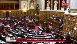 Loi Macron : Quel équilibre après plus de 480 amendements ?