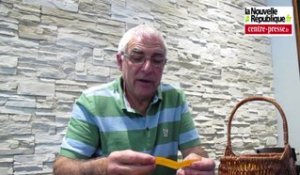 VIDEO. Châtellerault : Pierre Jeannette, président du Soc, répond aux Questions du panier