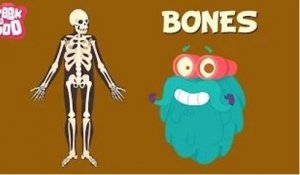 Bones | The Dr. Binocs Show | Learn Series For Kids