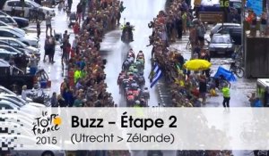 Buzz du jour / Buzz of the day - Bordures sous la pluie - Étape 2 (Utrecht > Zélande) - Tour de France 2015