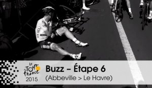 Buzz du jour / Buzz of the day - Chute du maillot jaune - Étape 6 (Abbeville > Le Havre) - Tour de France 2015