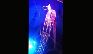 Chute mortelle d'une acrobate au Cirque du Soleil