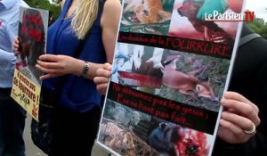 Fashion-week : les "Anti Fourrure" dénoncent le dépeçage d'animaux vivants