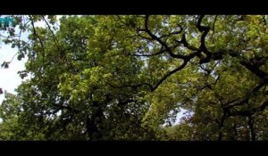 Rakesh Barot New Song | Ghadial Na Takore | VIDEO SONG | Kem Re Bhulay Sajan Tari Preet
