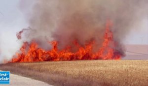 Des dizaines d'hectares de champ en feu à Mesgrigny