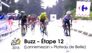 Buzz du jour / Buzz of the day - Étape 12 (Lannemezan > Plateau de Beille) - Tour de France 2015