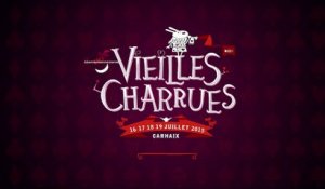 Vieilles Charrues. Dominique A