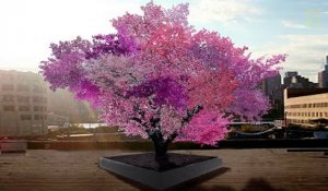 L'arbre qui fait pousser 40 fruits différents