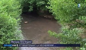 Sécheresse : 52 départements concernés par des restrictions d'eau