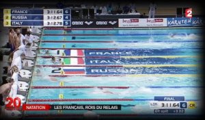 Les nageurs français dans le bain des championnats du monde, dimanche