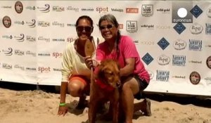 Californie : compétition de surf pour chiens