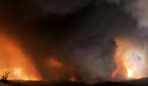 Californie : 200 kilomètres carrés de forêt consummés par un violent incendie