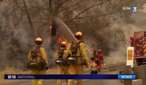 Incendies en Californie : 12 000 personnes évacuées