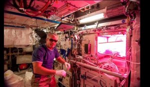 Les astronautes vont manger des légumes cultivés dans l'espace ! ISS - Station Spatiale Internationale