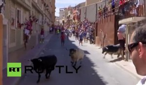 Un taureau s’acharne sur deux hommes en pleine rue en Espagne
