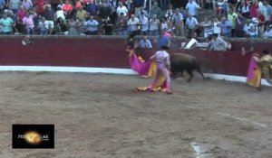 Accident violent pendant une corrida - Torero encorné en plein visage